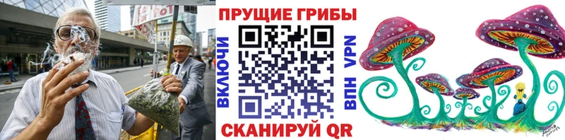 Псилоцибиновые грибы GOLDEN TEACHER MEGA вход Покров